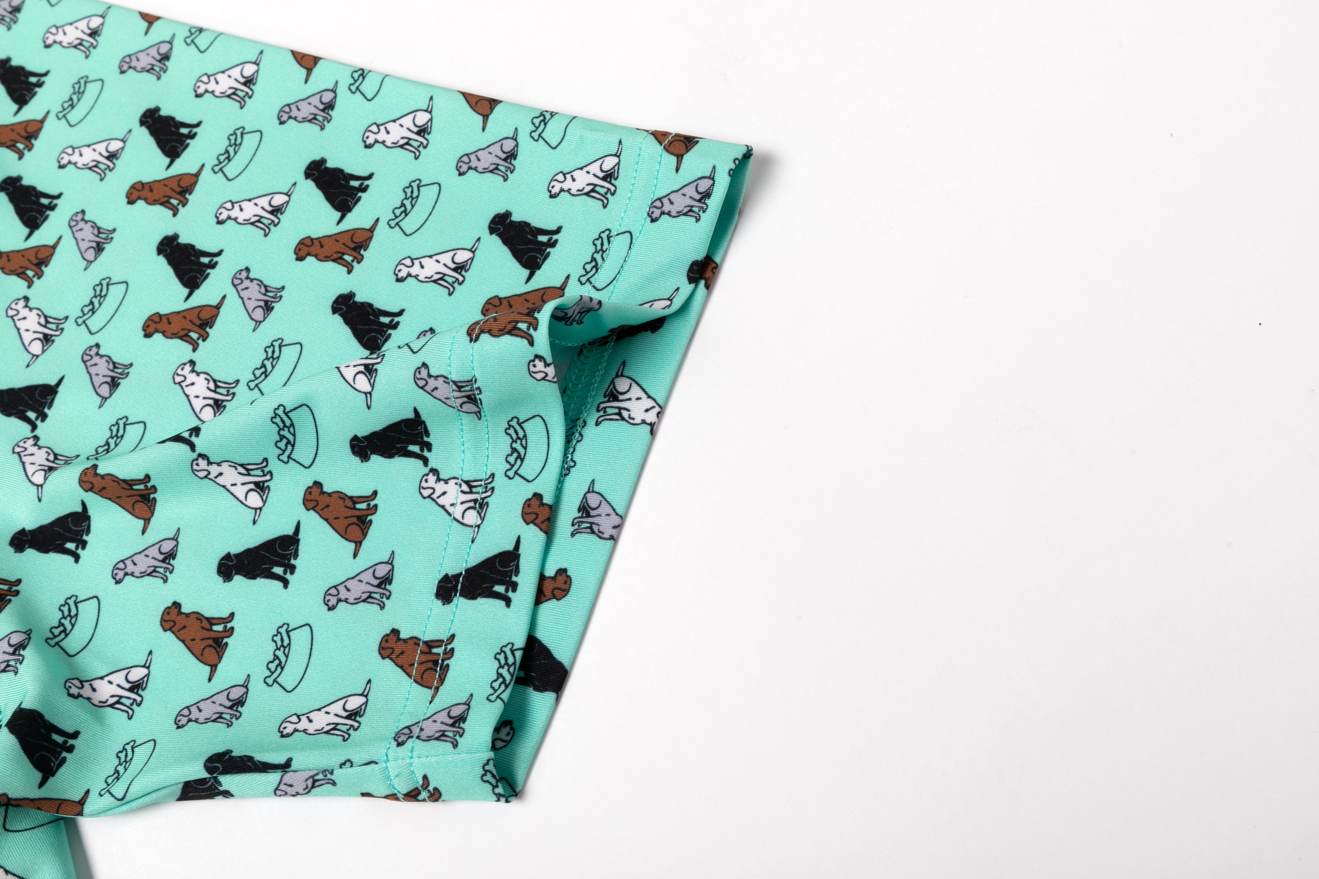 First In Show – Men’s Golf Polo with Labrador Retriever Print